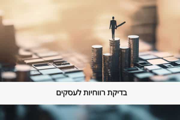 בדיקת רווחיות לעסק